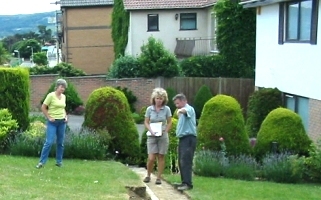 Garden design consultation