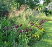 Garden management and design