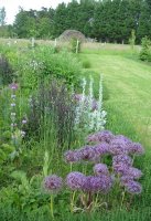 Garden Designs - Afton Park borders and meadow