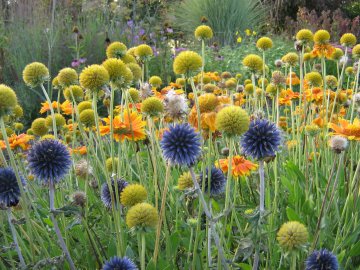 Wight in Bloom 1st prize