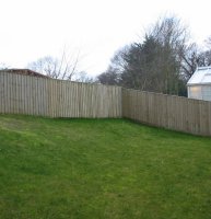 Surban back garden
