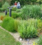 Gravel garden design 