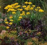 Garden design - gravel garden