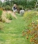 Garden management and design